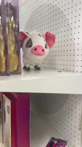 #targetpig 