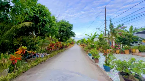 anh ở nơi thành đô..!#xh 