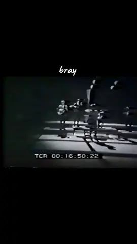 #therollingstones #rockandroll #walkingthedog 