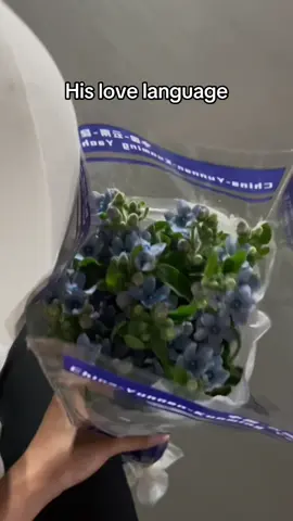 Em bảo em thích hoa và cách anh ấy hành động  #viral #trangdauocthocam