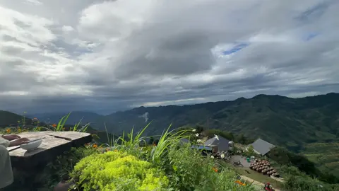 Tà Xùa điểm đến lí tưởng#taxua #xuhuongtiktok #hotrending 