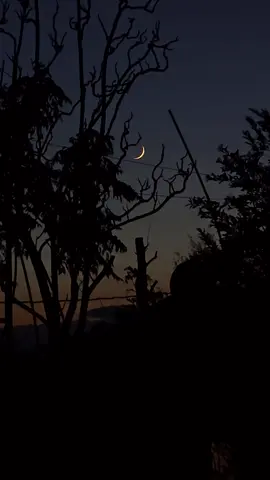 Luna 🌙#s24ultra #moon #sky 