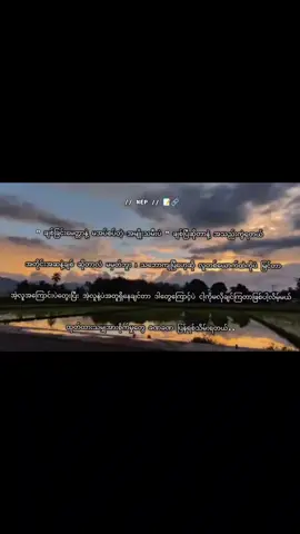 ကျွန်မကချစ်ခြင်းမေတ္တာနဲ့မအပ်စပ်တဲ့အမျိုးသမီးပဲ..🔗 @> N < 📝🤍 #fypシ゚viral🖤tiktok☆♡🦋myvideo #မင်းတို့ပေးမှရမဲ့သူပါကွာ🥺❣ 