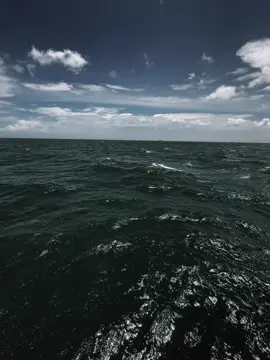 一点阳光无法创造夏天，一点奇怪的爱无法留住某人 Chút nắng vàng sao làm nên mùa hạ, Chút tình xa lạ sao giữ nổi người ta!#fyp #viral 