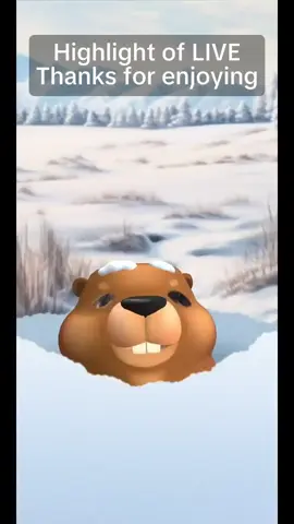 Thanks for all your Gifts and appreciation. You guys mean the world to me. #tiktoklive #livehighlights