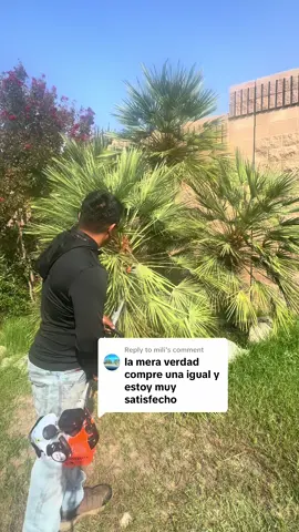 Replying to @mili #foryoupage #satisfying 