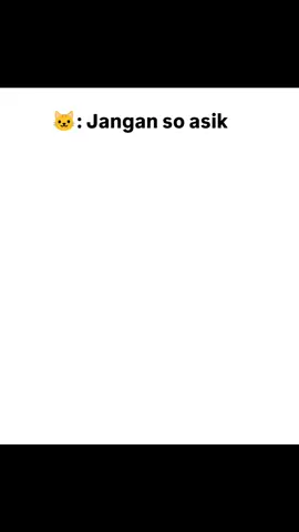 #kucingromantis #kucing #peliharaan #kucinggemoy #kucinglucu 