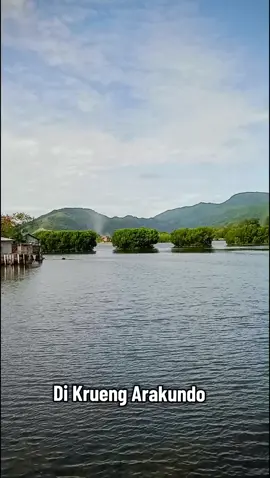 Haro Hara 🎼🎶 #nyawong #musikaceh #musikacehviral #acehviral #tiktokacehviral 