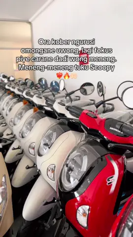 Meneng anteng mikir carane tuku Scoopy iki🤪 #fyp #scoopy #scoopymodifikasi #promo #honda 