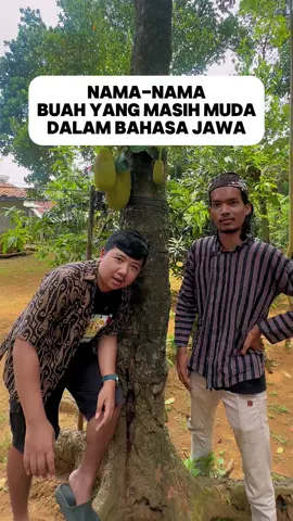 nama buah muda dalam bahasa jawa, ada yg bisa menambahkan boloku? 😬 #bahasajawa #jawatengah 