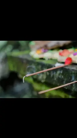 Bule Jepang _ YS Bali @ysbali tidak pernah gagal #bliarjun #ysbali #lagubali #lewatberanda #trending 