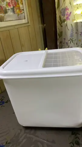 ilipat nyo ng lagayan ang bigas para safe😊 #KitchenHacks #riceorganizer 