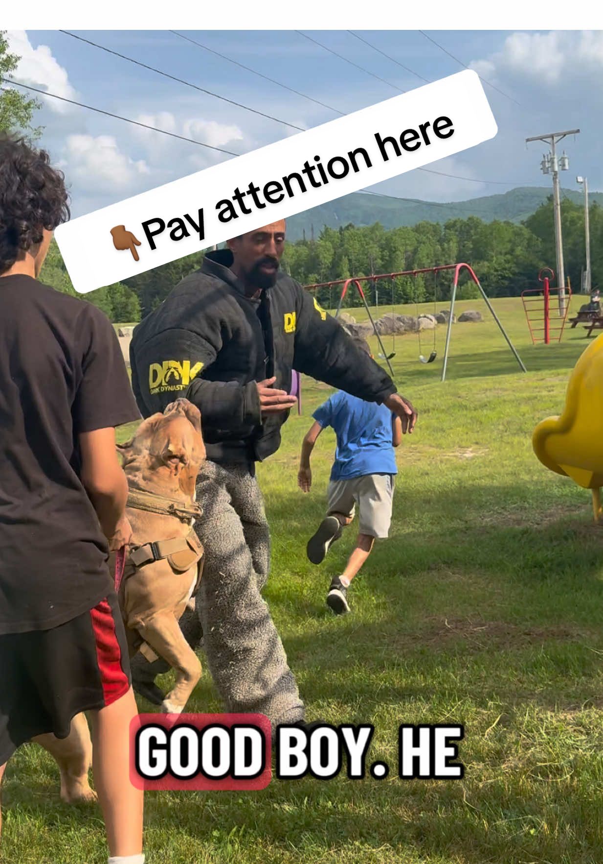 Would you allow this dog to protect your family? He’s the ultimate bodyguard and training.! ##fyp##foryou##dogsoftiktok##DogTraining