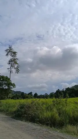 Hiritano Highway #hiritanohighway 