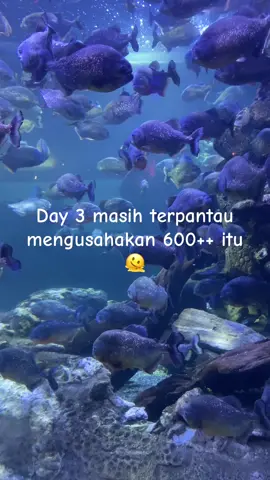 Ngga boleh menyerah🥹🙏🏻 #lewatberanda #fypシ゚ #affiliate #tiktokviral #followers➕ 