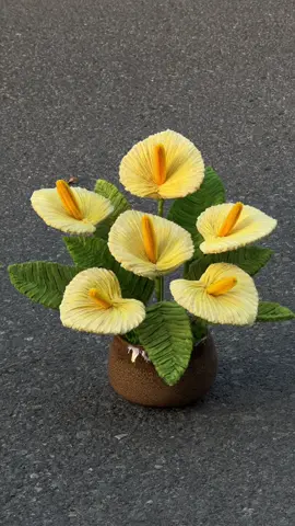 Hồng môn hôm nay đẹp quá#boibanbong #thinhhanh #viral #xuhuong #hoakemnhung 