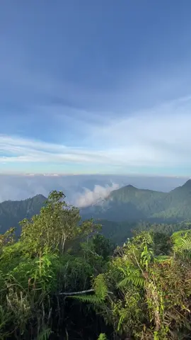 Pesona View puncak seribu Pesawaran gak kalah cakep nya @Via Bukit seribu official #pendakigunung #pendakisantuy #gunungpesawaran #fyp #pendakiindonesia #foryoupage 