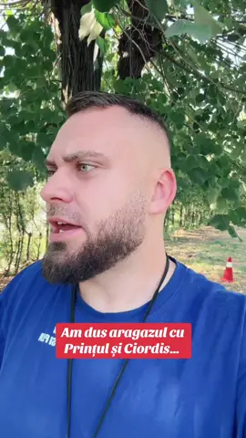 Am plecat să ducem aragazul pe care prințișorul meu l-a Ciordit…partea a doua Acesta este un pamflet și trebuie tratat ca atare, dialogul este unul imaginar!  #pamflet #pamflet_tik_tok 