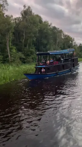 Taman Nasional Tanjung Puting, “Amazon nya Indonesia” for more information : Contact : 085248162374 ( Trian ) . #tanjungputingtrip #onedaytriptanjungputing #tanjungputing #onedaytrip #borneotopholiday 