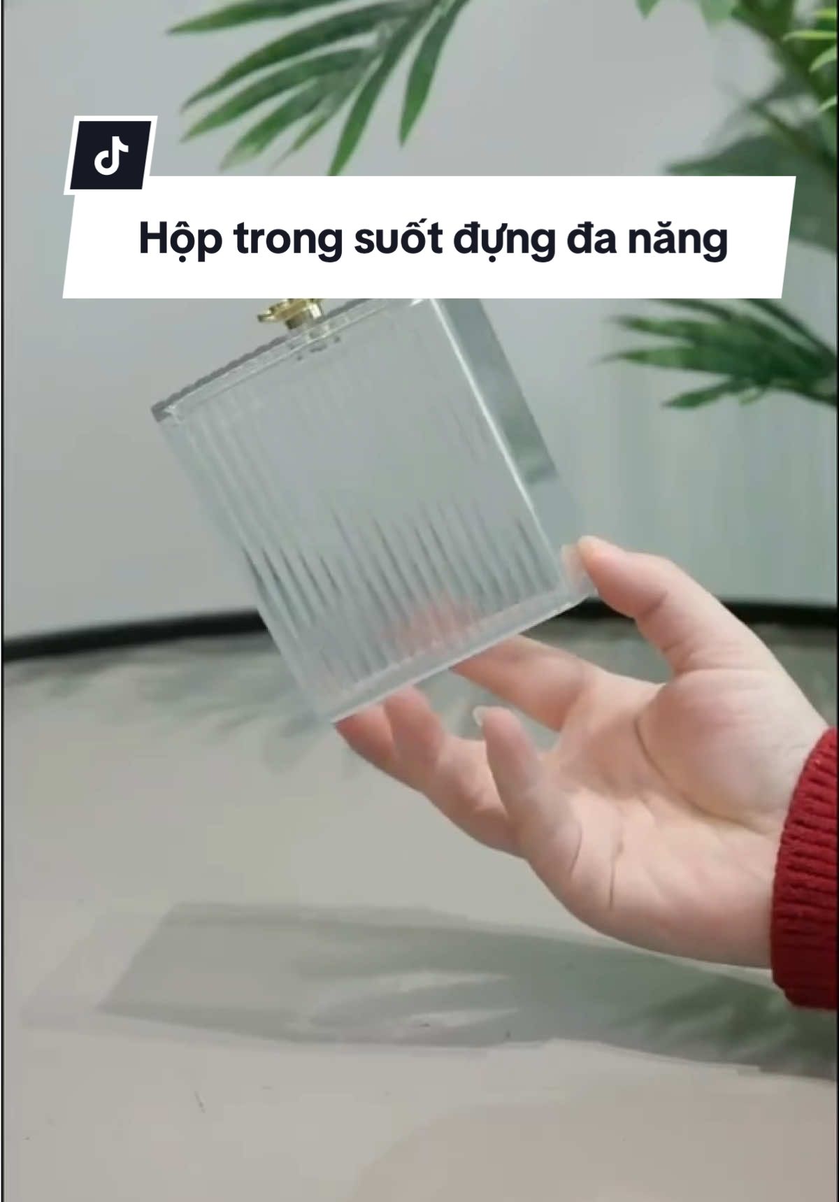 Hộp đựng trong suốt tiện lợi giá siêu hời #enoda #fyp #xuhuong #dogiadung 