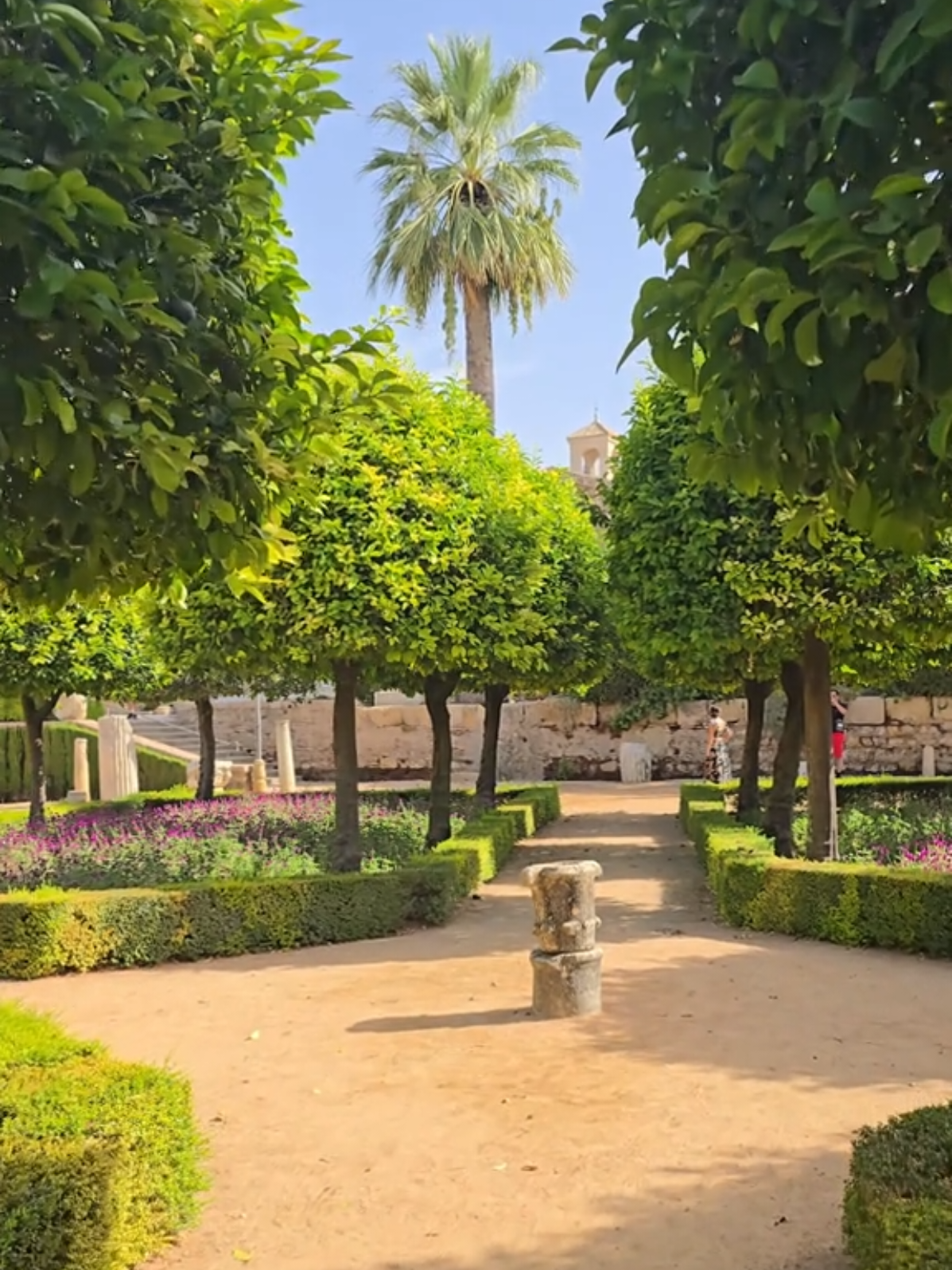 #cordoba #córdoba #spain #españa #spain🇪🇸 