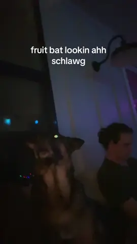 #dog #fruitbatlookinahhschlawg