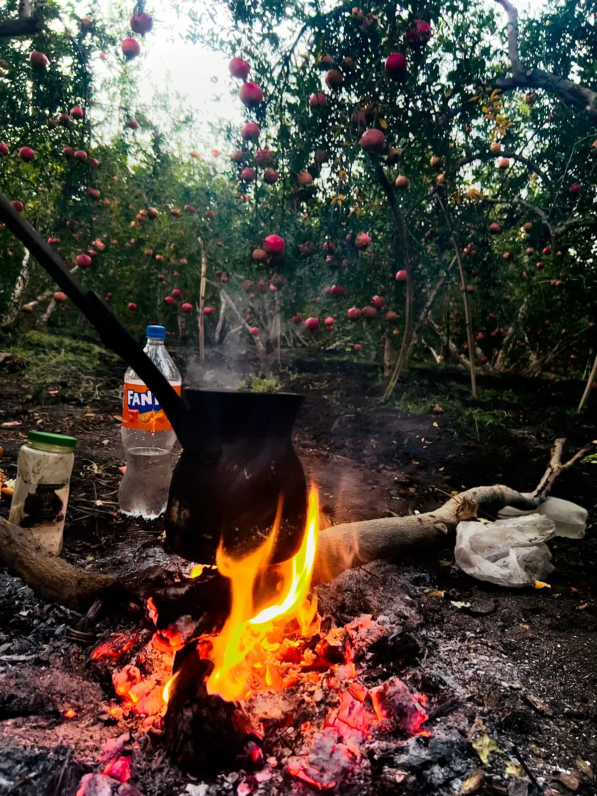 صلاه النبي❤️🍎.