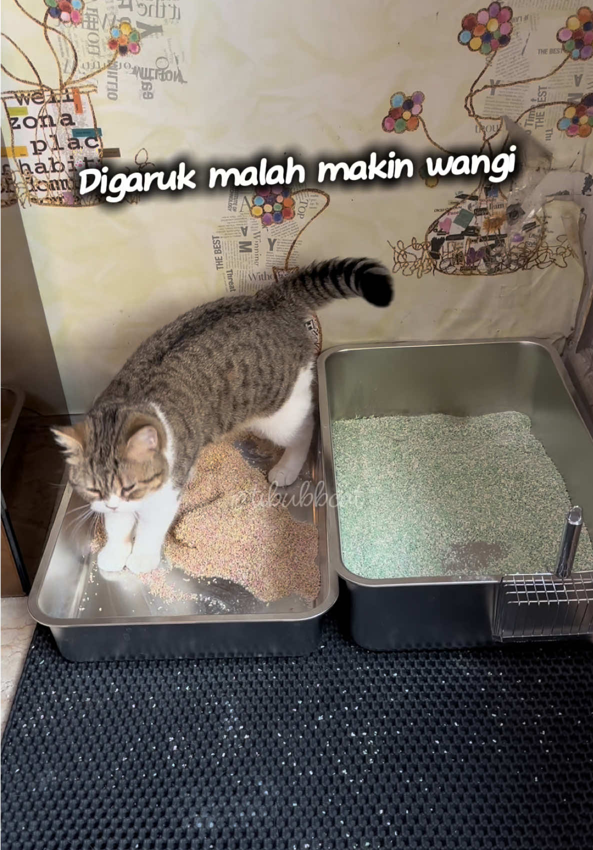 Pecinta litter box deodorizer cobain deh yang ini Litter Bloom dari Olive Care. Yang ini sudah ada granule kristal melepaskan aroma wangi tiap kali pasir di garuk & terkena pipip anabul #LitterBloom #PakaiLitterBloomBikinRumahJadiHarum #catlitterdeodorizer #petodorremover #CapCut 