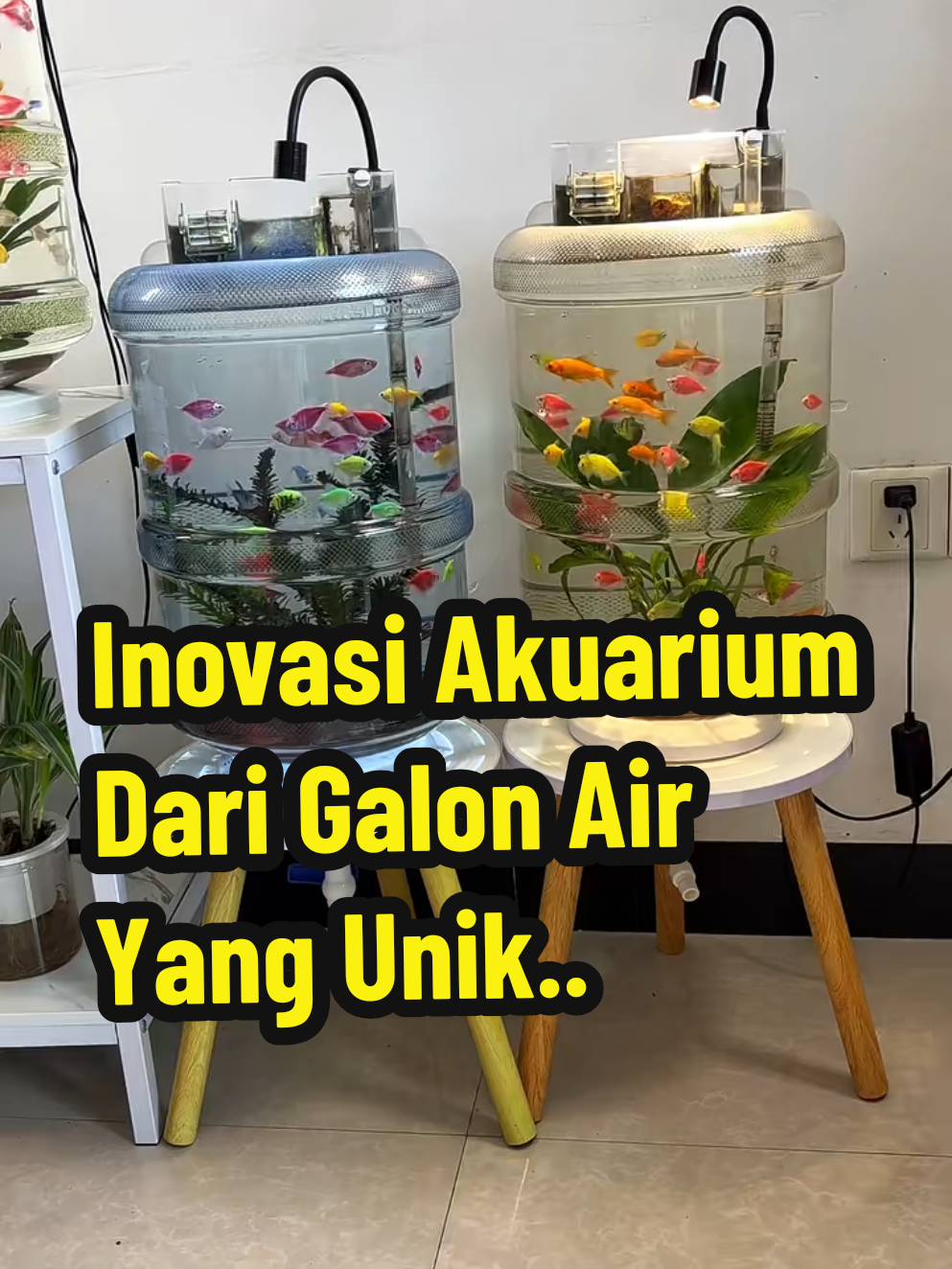 Lihat keajaiban akuarium mini yang ramah lingkungan dan multifungsi! Dalam video ini, kita akan melihat bagaimana air dari akuarium berbentuk galon bisa digunakan untuk menyirami tanaman, sebuah sistem hidroponik sederhana yang menggabungkan keindahan ikan hias dengan manfaat alami untuk tanaman. Ikan-ikan cantik seperti tetra warna-warni berenang bebas di dalam wadah transparan yang dilengkapi filter dan lampu LED, sementara air bekasnya menjadi nutrisi alami bagi tanaman di bawahnya. Cocok untuk kamu yang suka dekorasi rumah unik, hobi aquascape, atau ingin mencoba konsep “satu sistem, dua manfaat. English - Witness the magic of an eco-friendly, multi-functional mini aquarium! In this video, discover how water from a gallon-shaped fish tank can be reused to water plants, a simple hydroponic system that combines the beauty of ornamental fish with natural benefits for greenery. Colorful tetras swim freely inside transparent containers equipped with filters and LED lights, while the used water becomes natural nutrients for plants below. Perfect for those who love unique home decor, aquascaping hobbies, or want to try the one system, two benefits concept! #AkuariumMini   #HidroponikRumahan   #IkanHiasCantik   #EcoFriendlyHome   #AquascapeUnik 
