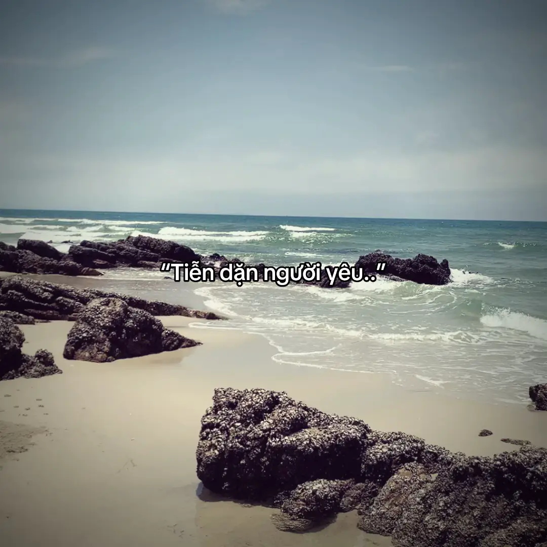 #tinhyeu #fyp 