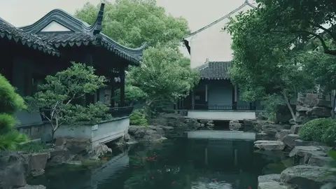 “Hỏi thế gian, nào có điều chi hoàn mỹ hơn? Ngón tay lan hoa khẽ xoay, cuốn hồng trần như nước, Trên đài cao ba thước, muôn chuyện hóa khúc ca” #suutam #canhdepthiennhien #canhdeptrangian #tuyetlacsontrang #tamtrang 