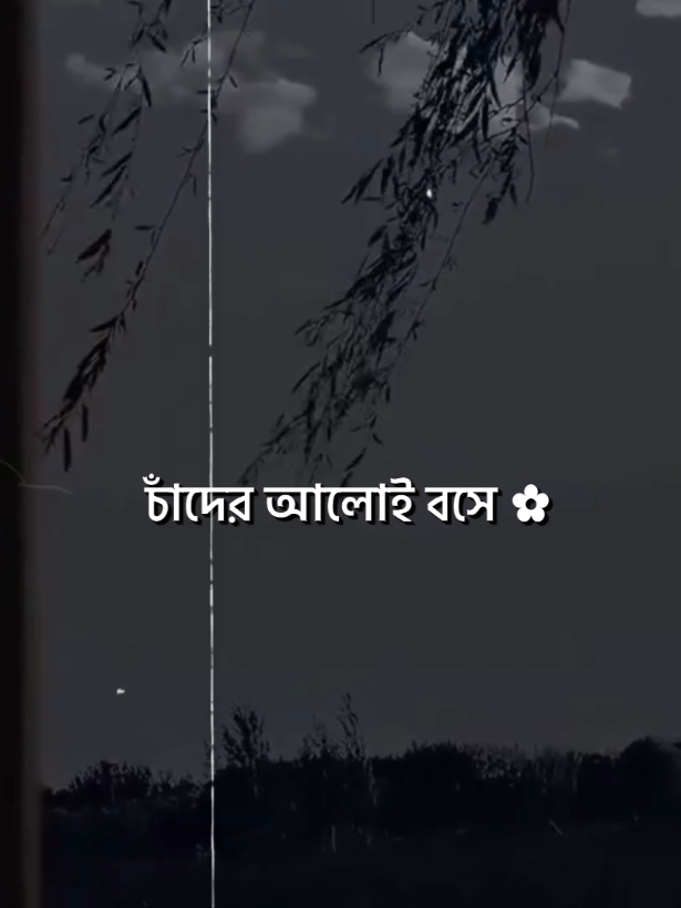_★তার ভাবনায় পড়ে থাকি..!!  _★চাঁদের আলোই বসে..!!🥹💔 #lyrics #lyricsvideo #lyrics_fahad_09 #vairal #asthetic @TikTok @TikTok Bangladesh @TikTok Tips 
