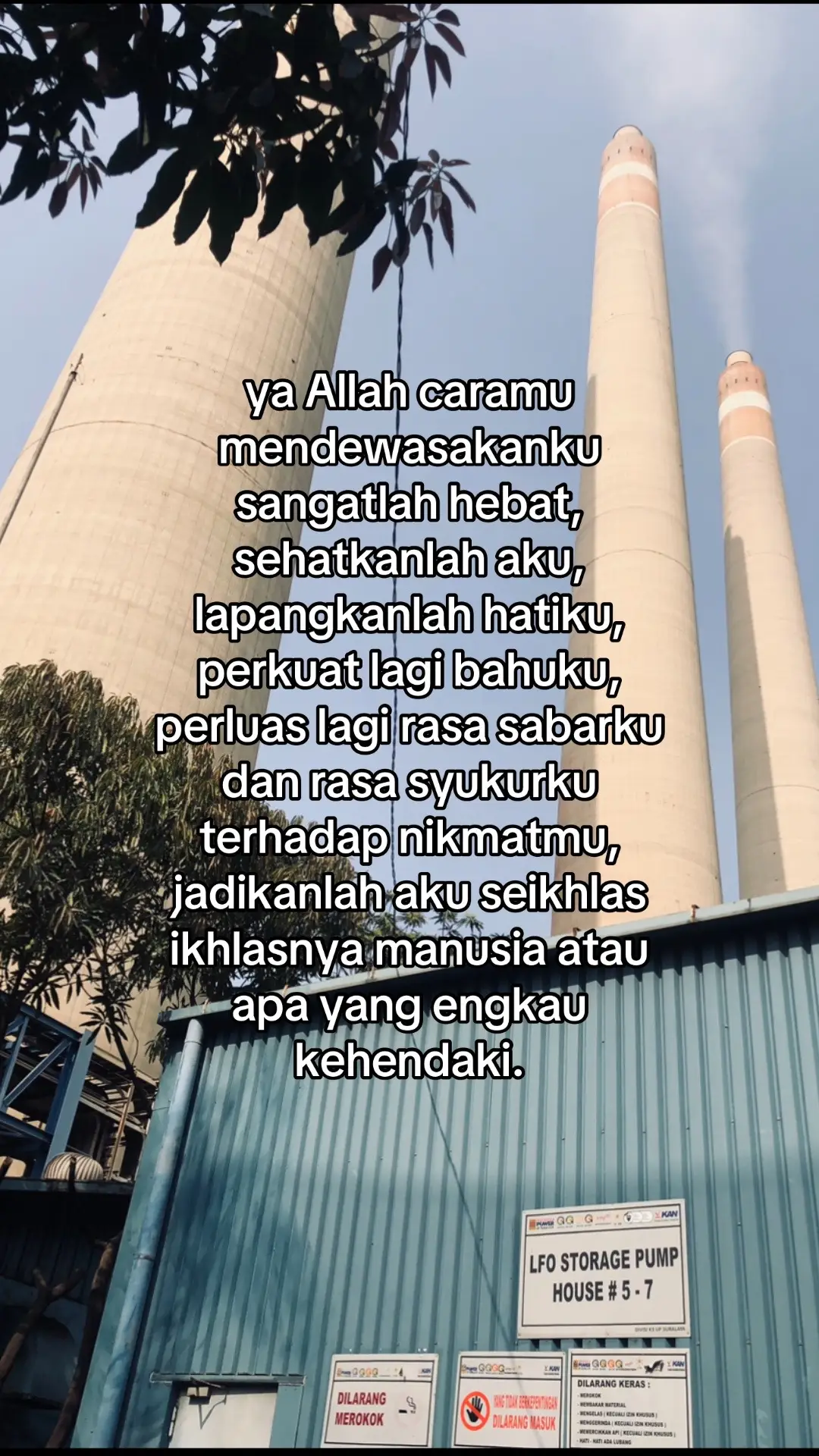 #xybca #fyp 
