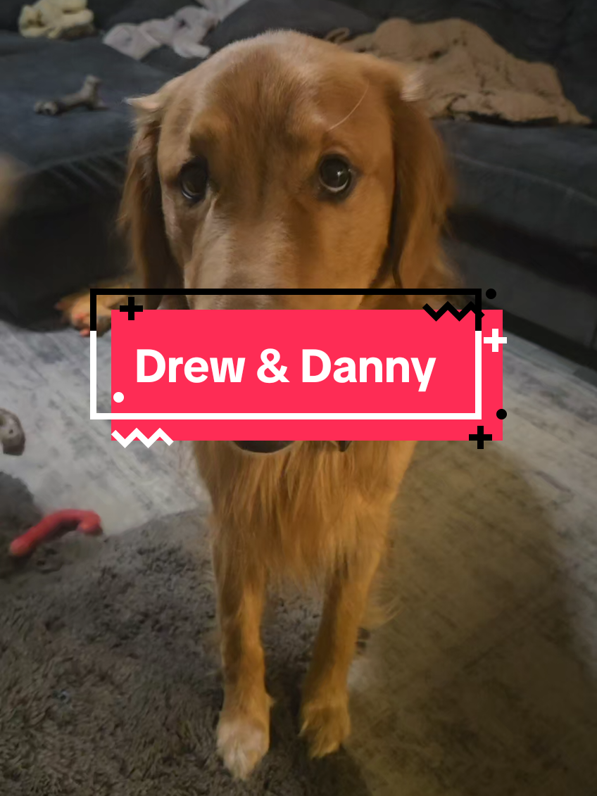brothers but not the same  #foryoupage #tiktok #dogsoftiktok #fypシ #tiktokdog 