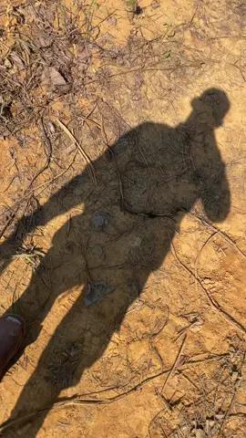 Kalo cari yg setia pastinya yg di kebun dong #planters #fyp #kebunsawit #asistenkebunsawit #sawitkalimantan 