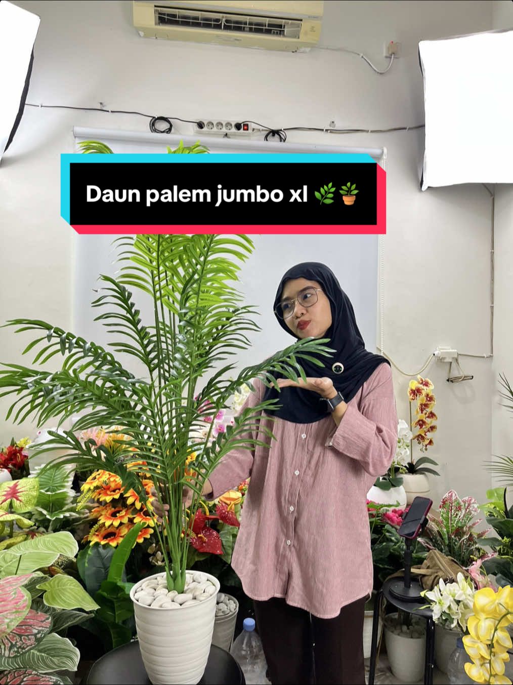 “Dekorasi ruangan makin hidup dengan daun palem jumbo xl 🌿✨ cocok buat rumah,kantor,atau cafe biar vibes makin estetik!💚” #palem #tanamanhias #dekorasirumah #fypage #fyppppppppppppppppppppppp 