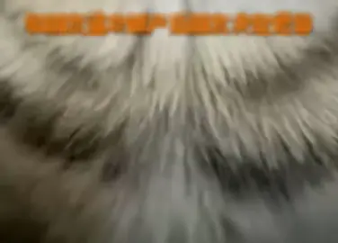 #Garena三角洲行動 