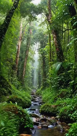 #amarievive❤️ #amalavida #sonrieysefeliz 