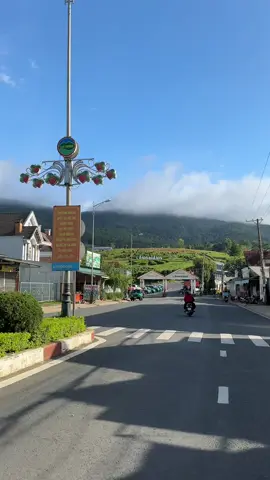 Langbiang sớm mai 🌤️ #dalat #dulichvietnam #xuhuongtiktok #didaudo #chillwithtiktok 