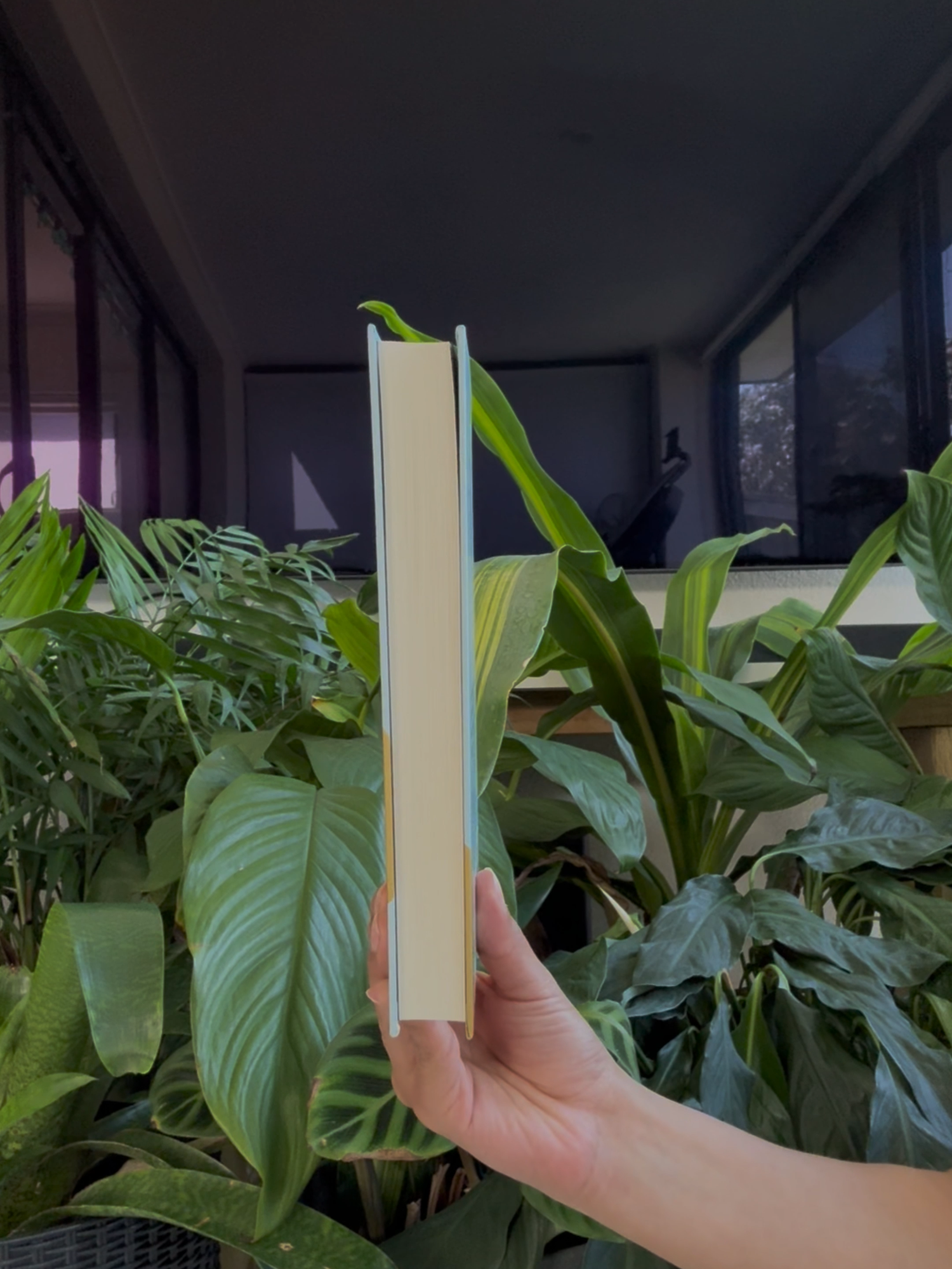 John Mark Comer’s Practicing the Way has been named the 2025 Christian Book of the Year Award winner 🏆🙌 Discover why readers everywhere are calling this book life-changing. 📚 Grab your copy today at Koorong! . #MustRead #BookTok #Jesusfollower #TBR #bookrecommendations #ChristianBooks
