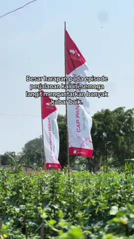 Apapun itu semoga dipermudah #petanimilenial #petanimuda #fyp #petanimelon #haritani 