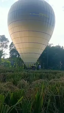 jannn gagah poll🤩#fyp #balonponorogo #balonpekalongan #balontulungagung #balon 