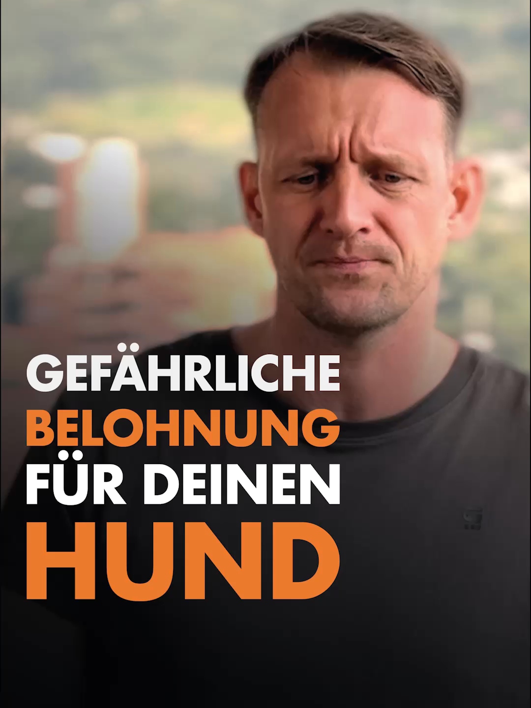 😱🐶 Gefährliche Belohnung für Deinen Hund. Dr. Franz Spitzer erklärt, den Unterschied zwischen guten und schlechten Leckerlies ist.  Einen gesunden Hund auf natürliche Weise? Hier gibts noch freie Termine:  https://dr.franzspitzer.de/wtlpezi #hund #hunde #selberheilen #Tierarzt #onlinetierarzt #leckerlieselbstgemacht