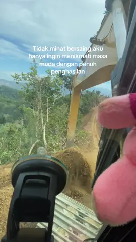 #fyp #storykuli #anakrantau #storytambang #excavator 