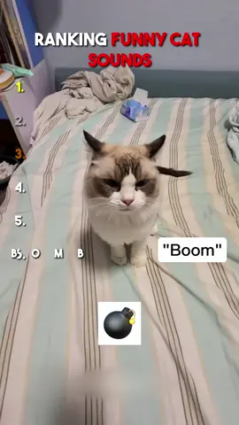 The Funniest Cat Sounds #cat #funny #fyp #rank #cute #sound