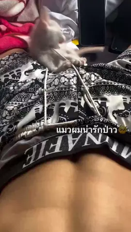 #fyp #ราชภัฏนครปฐม #แมวน่ารัก #06 