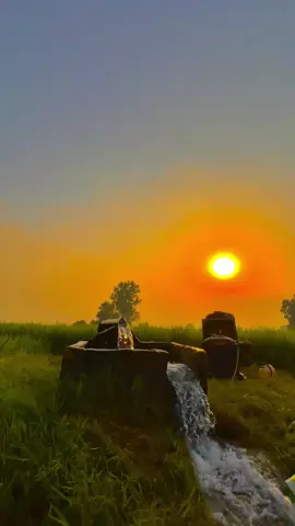 #🍂میرا-سونا_ پنڈ_لنگے-ضلع -سیالکوٹ🌅🍃🌾❤️#shabanhaider1000✅🌱 #foryoupage #unfrezzmyaccount 