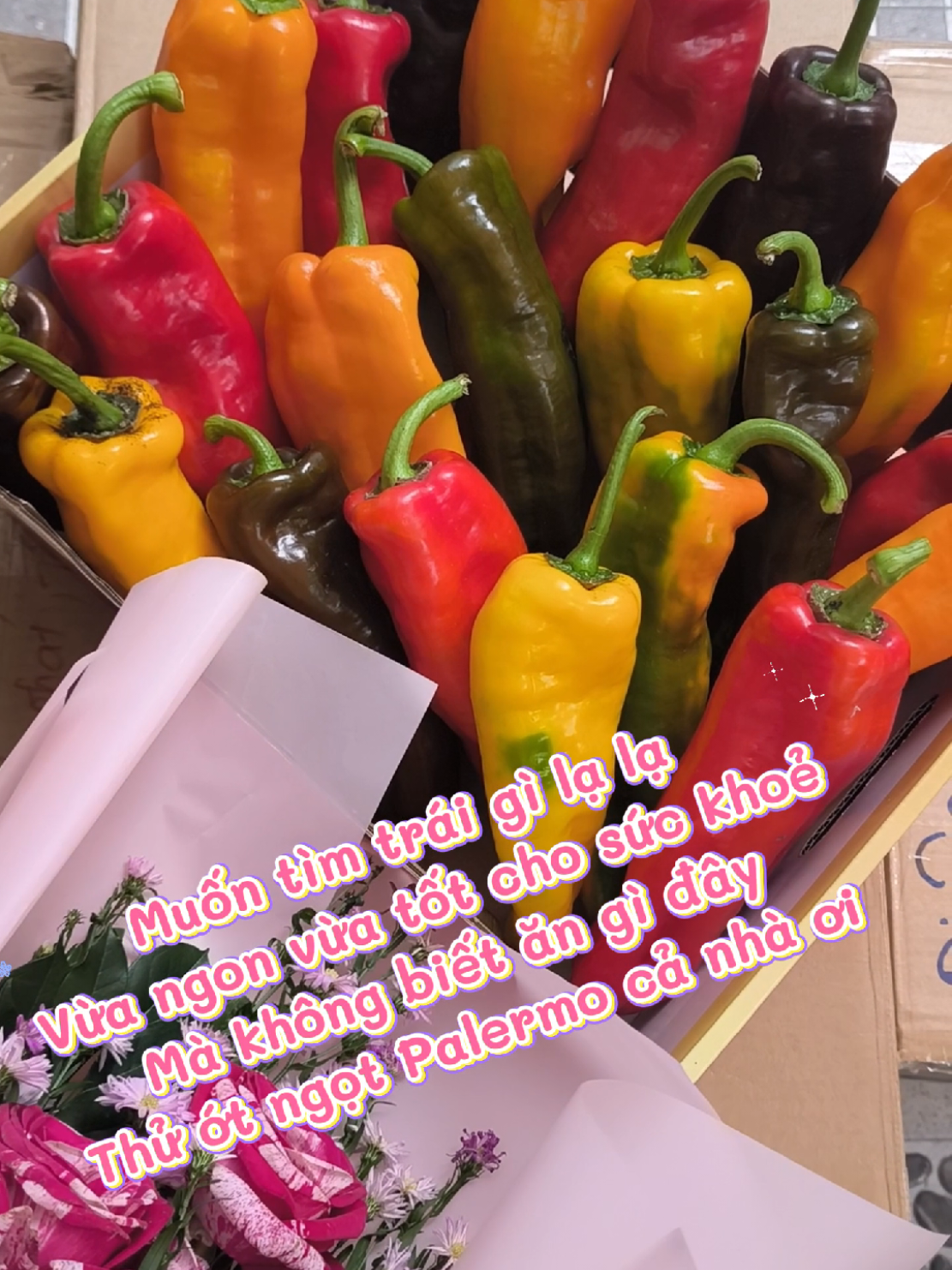 ❤️ Tìm trái cây độc lạ, lại nhiều vitamin thì cứ liên hệ shop em ạ 😍😍 #TuhaohangViet #hangVietvuonminh #otpalermo #otngot #ottraicay    