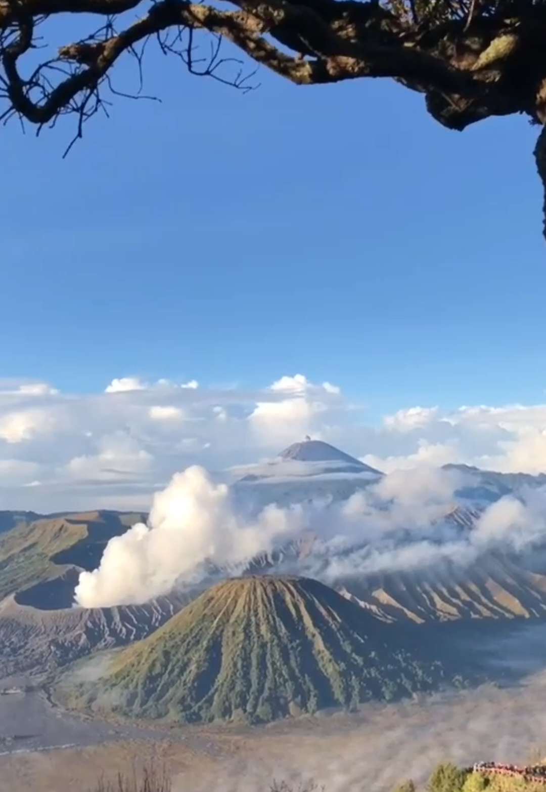 Kadang kita cuma butuh diam dan menikmati indahnya ciptaan Tuhan 🌫 #FYP #GunungBromo #Exploregunung #pemandanganalam #sunrisebromo🌄 