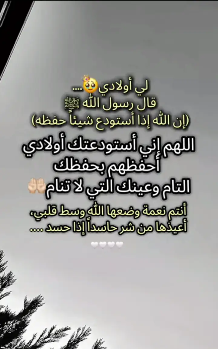 #امين_يارب🤲🏻🥀🕊️ #قران_كريم #متابعه_ولايك_واكسبلور_فضلا_ليس_امر 
